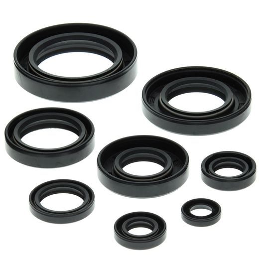 Engine Oil Seal Kit WINDEROSA 822147