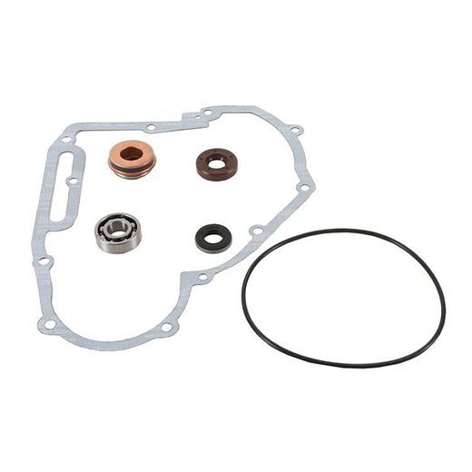 Water Pump Rebuild Kit WINDEROSA 821891