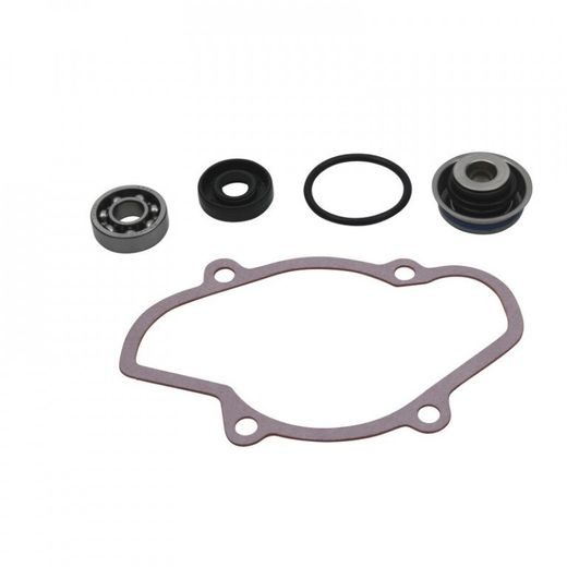 Water Pump Rebuild Kit WINDEROSA 721312