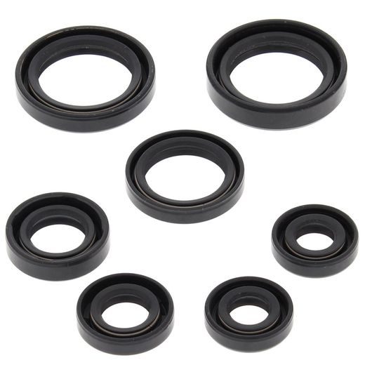Engine Oil Seal Kit WINDEROSA 822236