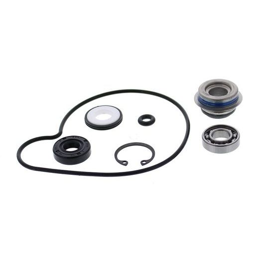 Water Pump Rebuild Kit WINDEROSA 721267