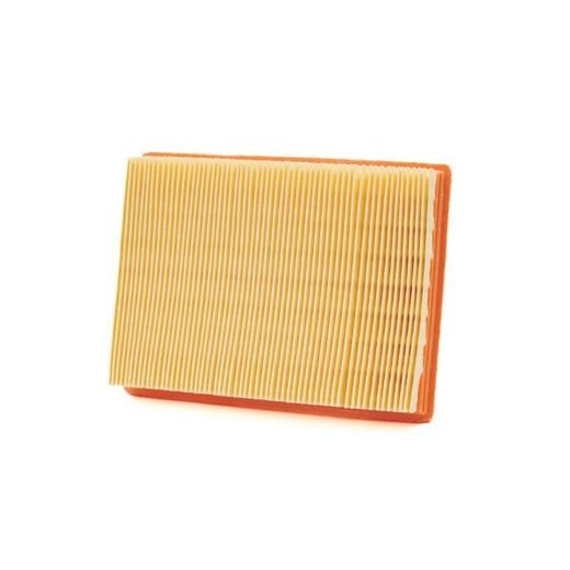 Zračni filter CHAMPION CAF9001 100606165