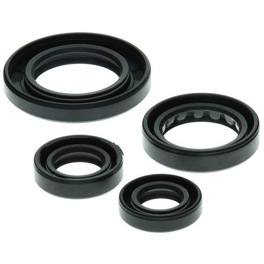 Engine Oil Seal Kit WINDEROSA 822211