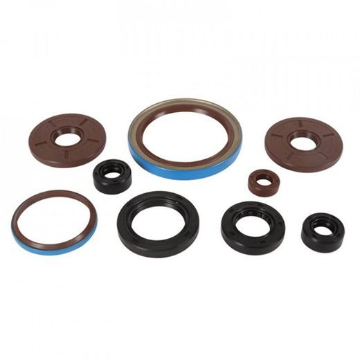 Engine Oil Seal Kit WINDEROSA 822386