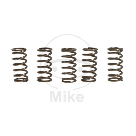 Clutch spring kit EBC CSK176 5