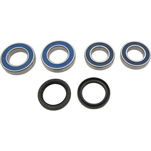 Wheel Bearing Kit All Balls Racing 25-1809 zadaj