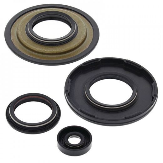 Engine Oil Seal Kit WINDEROSA 55195