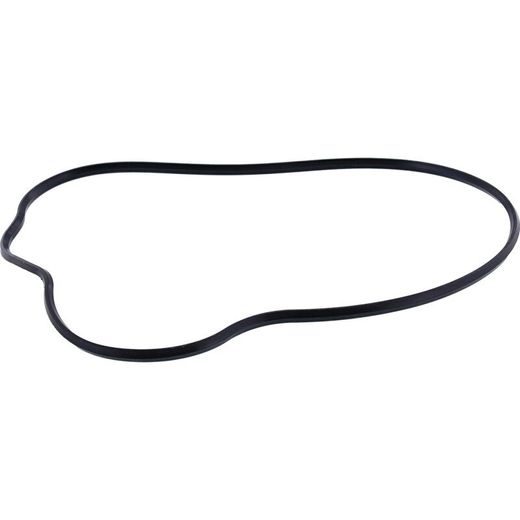 Ignition Cover Gasket WINDEROSA 819230