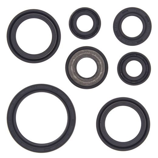 Engine Oil Seal Kit WINDEROSA 822232