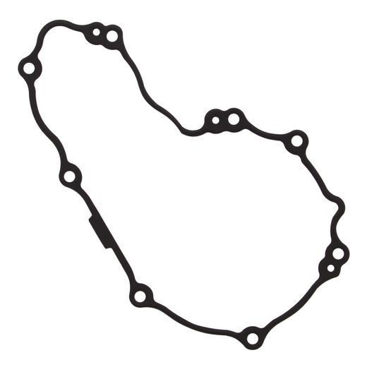 Ignition cover gasket WINDEROSA 816295