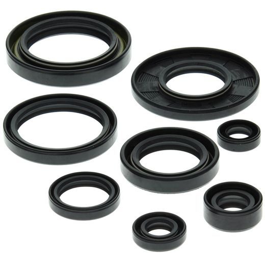 Engine Oil Seal Kit WINDEROSA 822158