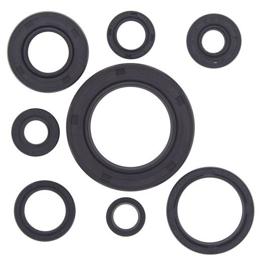 Engine Oil Seal Kit WINDEROSA 822111