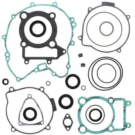 Complete Gasket Kit with Oil Seals WINDEROSA 811845