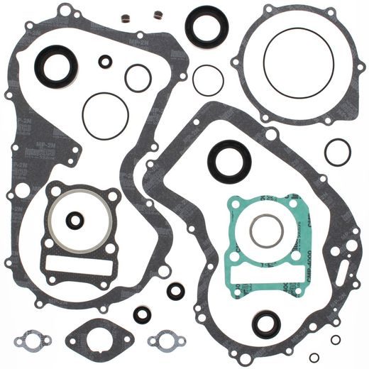 Complete Gasket Kit with Oil Seals WINDEROSA 811914