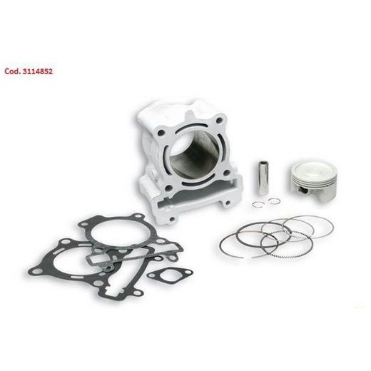 ALUM-CYL. Ø 63 pin Ø 14 H2O I-TECH 4-stroke Malossi 3114852