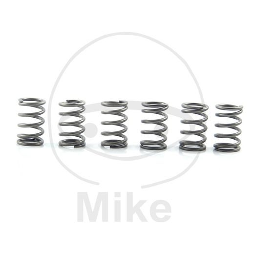 Clutch spring kit EBC CSK171 6