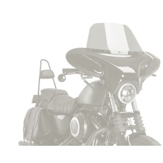 Windshield CUSTOMACCES BATWING EH0009W clear