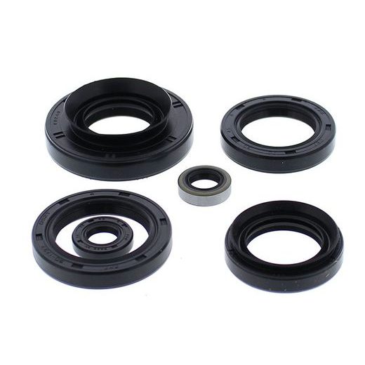 Engine Oil Seal Kit WINDEROSA 822881