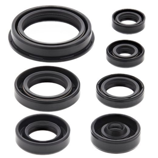 Engine Oil Seal Kit WINDEROSA 822690