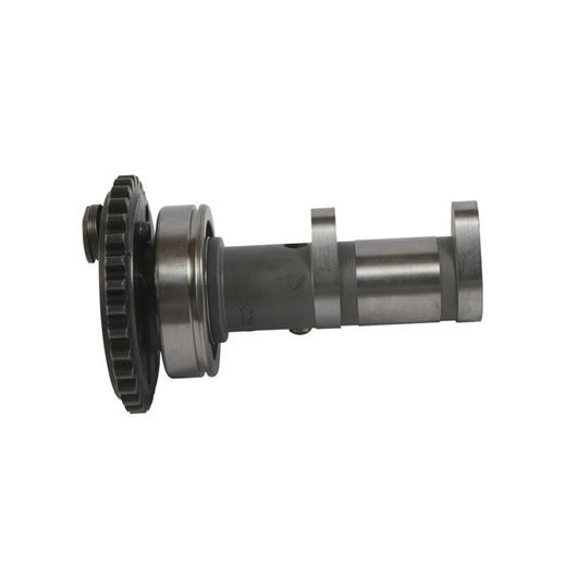 Camshaft exhaust HOT CAMS 4287-1E