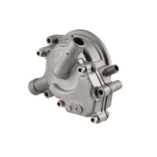 Complete water pump RMS 100110760