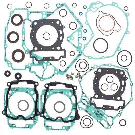 Complete Gasket Kit with Oil Seals WINDEROSA 811954