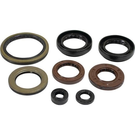 Engine Oil Seal Kit WINDEROSA 822402