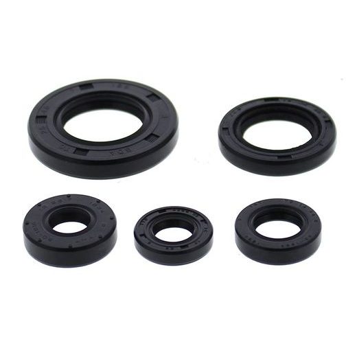 Engine Oil Seal Kit WINDEROSA 822990