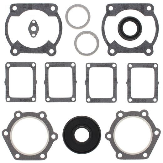 Complete Gasket Kit with Oil Seals WINDEROSA 711147G