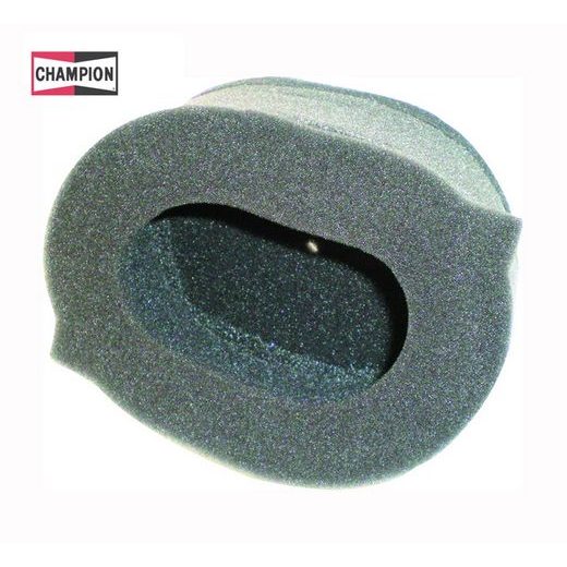 Zračni filter CHAMPION Y304/302 100604695