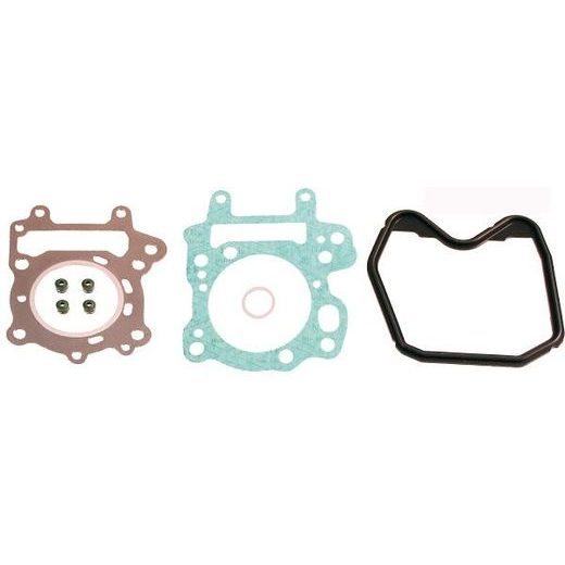 Engine TOP END gaskets RMS 100689221
