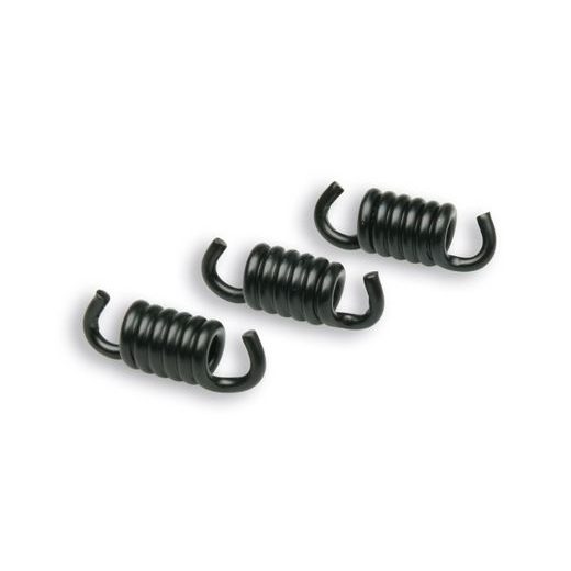 Racing clutch spring Malossi 298745B