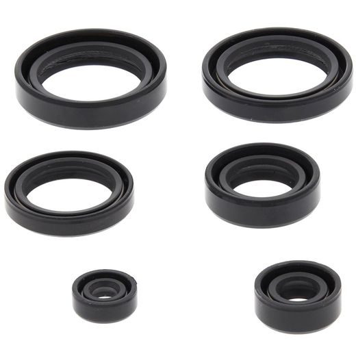 Engine Oil Seal Kit WINDEROSA 822310