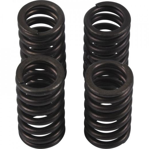 Valve spring kit HOT CAMS VSK2002