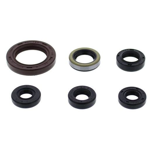 Engine Oil Seal Kit WINDEROSA 822973