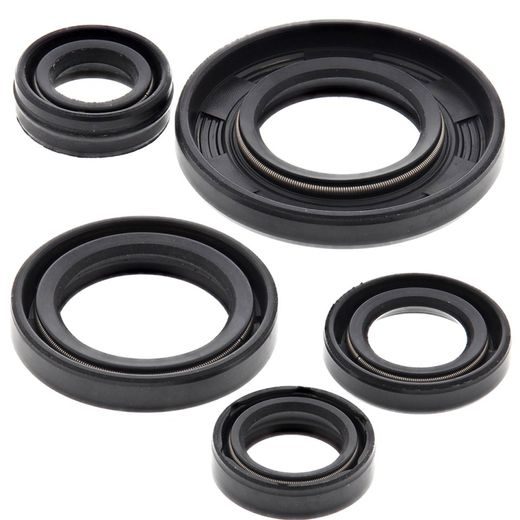 Engine Oil Seal Kit WINDEROSA 822240