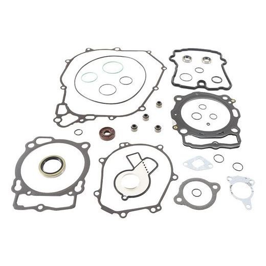 Complete Gasket Kit with Oil Seals WINDEROSA 811374