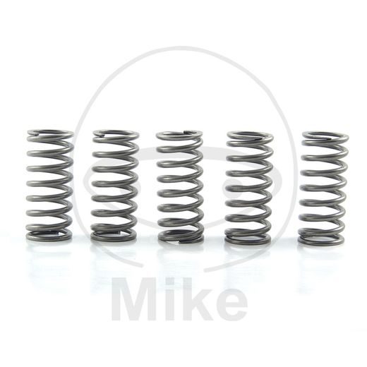 Clutch spring kit EBC CSK132 5