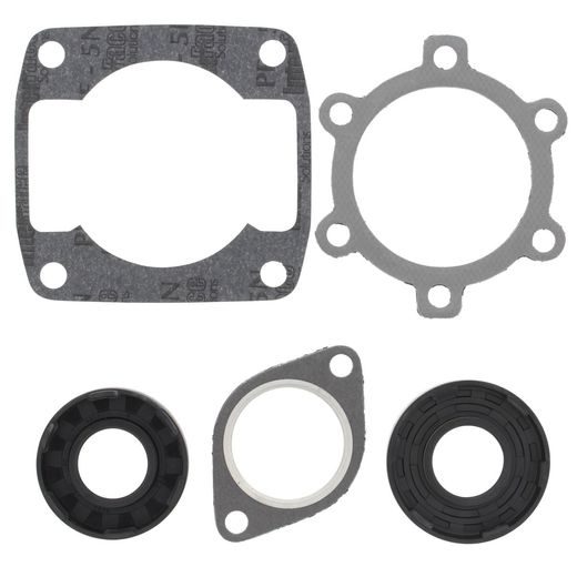 Complete Gasket Kit with Oil Seals WINDEROSA 711061A