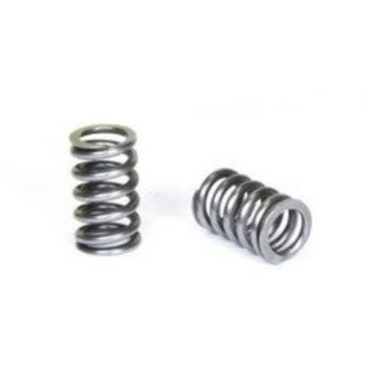 Valve spring AOKI