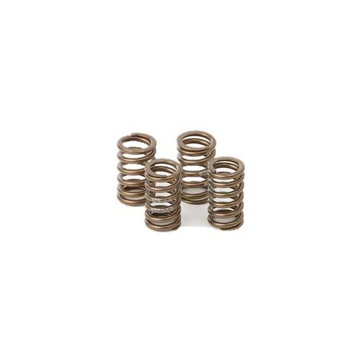 Valve spring kit HOT CAMS VSK2006