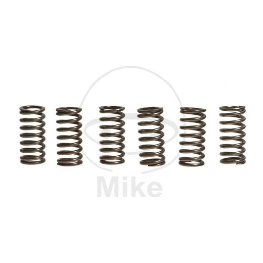 Clutch spring kit EBC CSK111 6