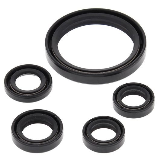 Engine Oil Seal Kit WINDEROSA 822350
