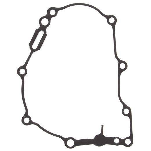 Ignition cover gasket WINDEROSA 816710