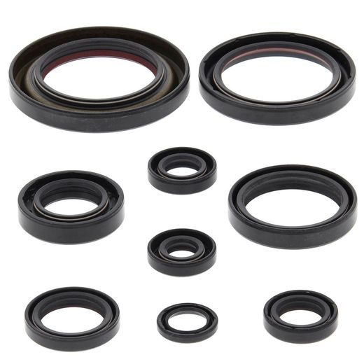 Engine Oil Seal Kit WINDEROSA 822312