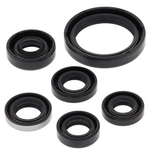 Engine Oil Seal Kit WINDEROSA 822334