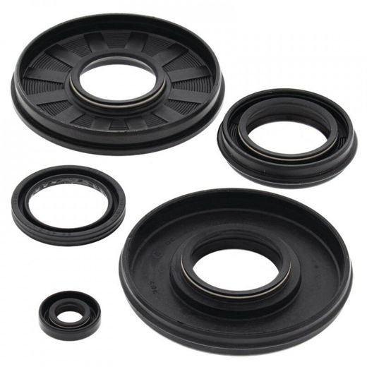 Engine Oil Seal Kit WINDEROSA 55133