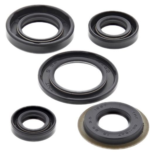 Engine Oil Seal Kit WINDEROSA 822308