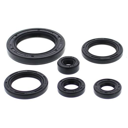 Engine Oil Seal Kit WINDEROSA 822978