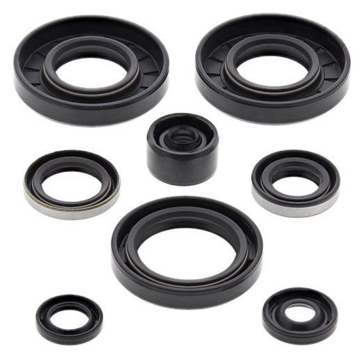 Engine Oil Seal Kit WINDEROSA 822135